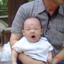 강섬 Daum카페