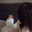 오현남 네이버블로그