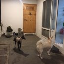 카페댕하우스 이미지