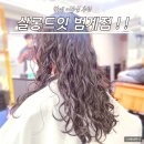 범계 미용실 젤리펌 긴머리 살롱드잇 후기