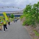 평화로운 분위기의 오사카 강변 길 걷기(오사카 – 히라카타 26km) 이미지