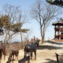 봉재목장 이미지