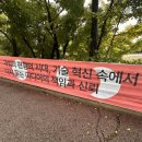 (주)신진개발 | 한국언론학회 2025 가을철 정기학술대회 후기 : 1부 세션 〈신진학자〉