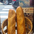 이조명과 이미지