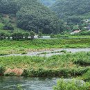 강물놀이터 이미지