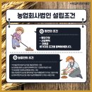 더가 농업회사법인 유한회사 이미지