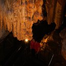 단양한우 목장 이미지