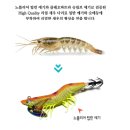 백경 | 백경 리얼새우다리 S-야광 후기 정보｜노블리어 팁런 에기 튜닝 쭈꾸미·갑오징어 추천