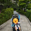 원대카플러스 | 트라이크 에이블 유모카 플러스 내돈내산후기