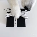펫프르트 송파점 네이버블로그