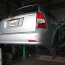 고양화전36 이미지