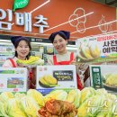 대관령원예농협 하나로마트 이미지