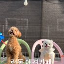 런독 이미지