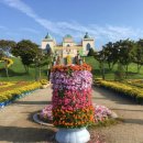 임실꽃화원 이미지