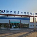 안동유통 이미지