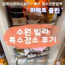 음식천국 | [수원특수청소] 배달음식과 초파리 천국, 곰팡이 정리 후기