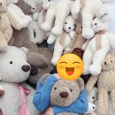 대현한의원 | 30대 대장암 투병기록) 20.1월 정기검사 CT , 결과듣기