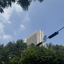 최종판결 | <교통사고소송후기6 > 재판참여후기 최종판결