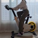 내동킹스크린골프 | 가정용사이클 킹스미스 실내자전거 사용후기