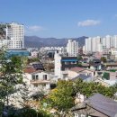 통창공원 이미지