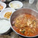 낭만셰프 이미지