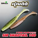 에스엠텍 이미지