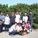 용흥농장 네이버블로그