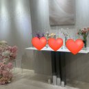 서노하우스 | [W4] 노발대 신부가 되었어요 :: 27년 상반기 노블발렌티 대치 상담 후기(계약O)