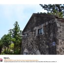 제주 강정동 담팔수(濟州 江汀洞 담팔수) | 제주 약천사와 강정동담팔수!