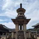 불국사 | 경주 혼자여행, 벚꽃 시즌 불국사 방문 후기와 꿀팁 정리