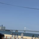 부산광역시 수영구 광안해변로 153   (광안동) 브릿지호텔 앞 | 광안리 애견동반 브런치 맛집 쿠타팜테라스 광안리점 내돈내산 후기