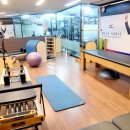 HYUN'S GYM 코리아헤럴드