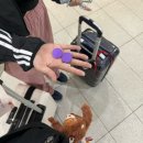 샤도넛츠 이미지