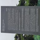 상안동 지석묘 이미지