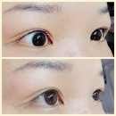 토방석갈비 | [청주 속눈썹펌 후기]생얼 자신감 폭발! 용정동 뷰티샵 채뷰티, 화장 시간 단축되는 마법 노글루 속눈썹...