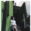 이태원 퀴논길 이미지