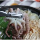 연포낙지 이미지