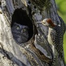 (주)야생 이미지