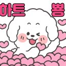 카페 아이니 이미지