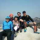 정상행정사 이미지