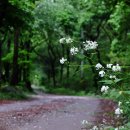 (주)시선바이오머티리얼스 이미지