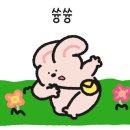 오시리야 주방 이미지