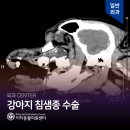 동감동물의료센터 이미지