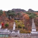 남산 - 강남구 삼성로 648 | 남산