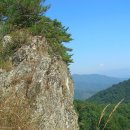 만산동 Daum카페