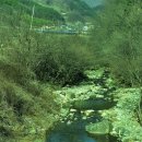 삼도봉권역 이미지