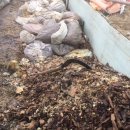 명지농장1 이미지