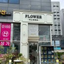 114-운정2-114 | [파주 야당역 운정 꽃집] 피오레베로 플라워 꽃다발 선물후기