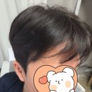 파란집미용실 | 원주 남자머리 잘하는 미용실 더유니크 단골이 쓰는 남자다운펌 후기