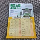 에코스팀세차